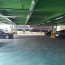 청호스크린골프 이미지