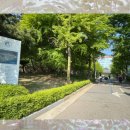 성균관대학교 | 수원 성균관대학교 외국인 나전체험, 자개공예 원데이클래스 나전 달항아리무드등