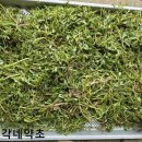 이완기농장 이미지