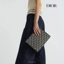 디올 카카오 검색결과