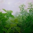 파도 한 송이 이미지