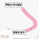 다이소 건너편 횡단보도 이미지