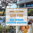 좋은소나무(fine pine) | 여행가 준의 내돈내산 후기 김해 카페 파인 PINE
