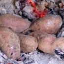 사랑독채 이미지