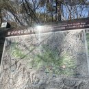 경남사 | 팔공산 등산 갓바위 최단코스 등산후 솔매기2 방문기