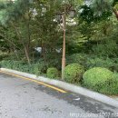 회기천 티스토리