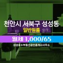 호수65공인중개사사무소 네이버블로그