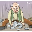 금덩이네 이미지