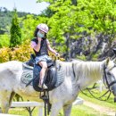 승마공원 이미지