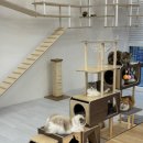 캣플헤븐 엘리스빌 인천서구점 | [인천 서구] 인천 아이와 갈만한 곳 인천실내동물원 고양이카페 캣플헤븐 루원시티인천점