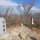 백양사진입로 이미지