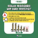 그린임업 | 산림의 어제와 오늘, 그리고 내일을 생각하다🌳 - 제2차 그린백 세미나 후기