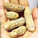 모든 재료 냉장 &amp; 모든 주문 커스텀ㅣ한국 파이브 가이즈 강남ㅣ햄버거 맛집 포장 후기