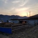 아호동농장 이미지