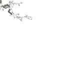 노블레스에디션 이미지