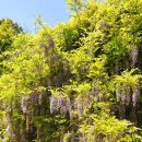 밀양댐생태공원 이미지