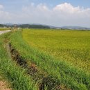 세덕경로당 이미지