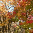 해인초등학교 이미지