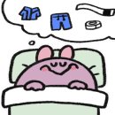 본주짓수화성남양