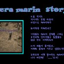 헤라마린