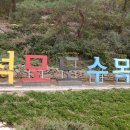 삼호횟집 | 인천 섬 여행후기 🍃 석모도수목원 / 삼호횟집 당일치기여행