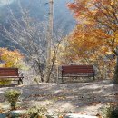 수도녹색숲모티길 이미지