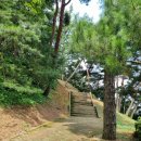 탄금공원 (후문 방향) 이미지