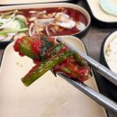 탄방역 | 대전 탄방역 맛집 오일내 삼겹살 솔직 후기