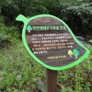 봉명1리 이미지
