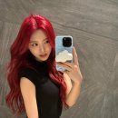 크롭체크코리아 이미지