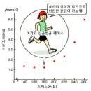 무리하지 않고 효과적으로 달리기,,싱글벙글,,(펌글) 이미지