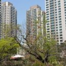 래미안황금공인중개사사무소 이미지