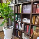 지양당한의원 이미지