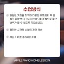 애플피아노홈레슨