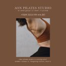 아온시스템 이미지