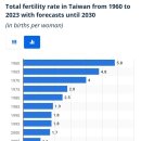 대만 출산율 근황 이미지