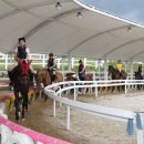 장수승마로 이미지