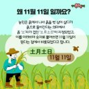 2022년 11월11일 가래떡데이 이미지