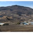 (주)미스터캠퍼 이미지