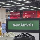 신세계대전 중앙집기 New Arrivals 비주얼 요청합니다. 이미지