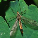 펀포레스트 이미지