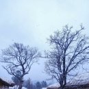 모든의원 이미지