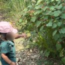 창녕 남산근린공원 이미지