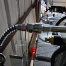 동의약초건강원 이미지