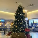 상무매점 | 광주 상무지구 메가박스 상영시간표 윗집사람들 아바타 영화 예매 팝콘