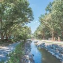 태조산 공원 이미지