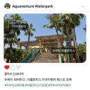 아쿠아워터 | 두바이 워터파크 : 아틀란티스 아쿠아벤처 워터파크 패스트 트랙 후기