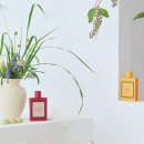 꽃들의 향연 이미지