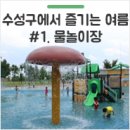 수성근린공원 네이버블로그