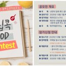 제주드라이브잇쇼 네이버블로그